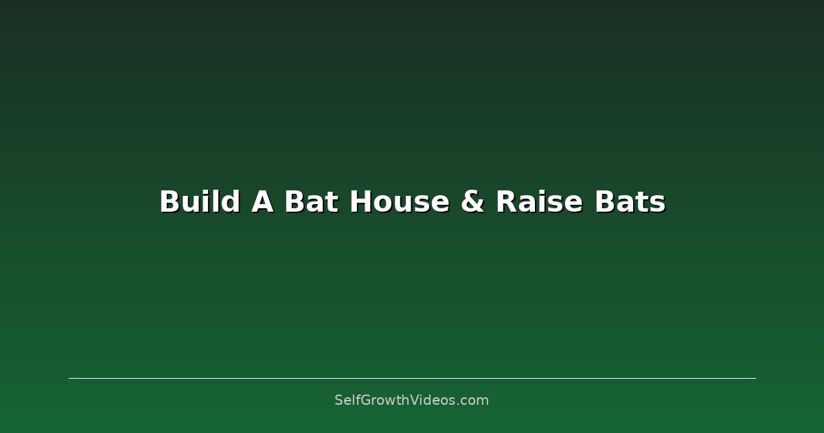 Physical Wellbeing & Lifestyle